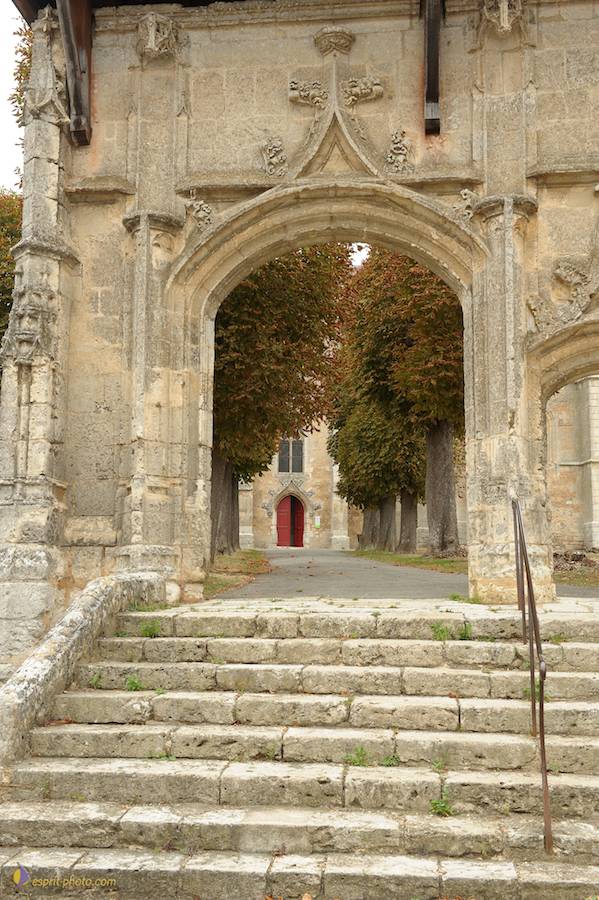 Nom de l'image : D30080426_1_(c)Norbert-JUNG — Description :